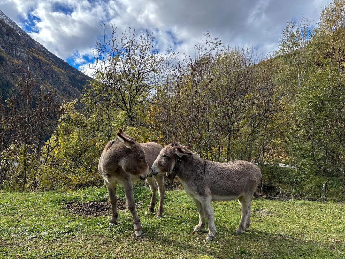 Cozyloge, Orelle & Les 3 Vallees Exteriér fotografie